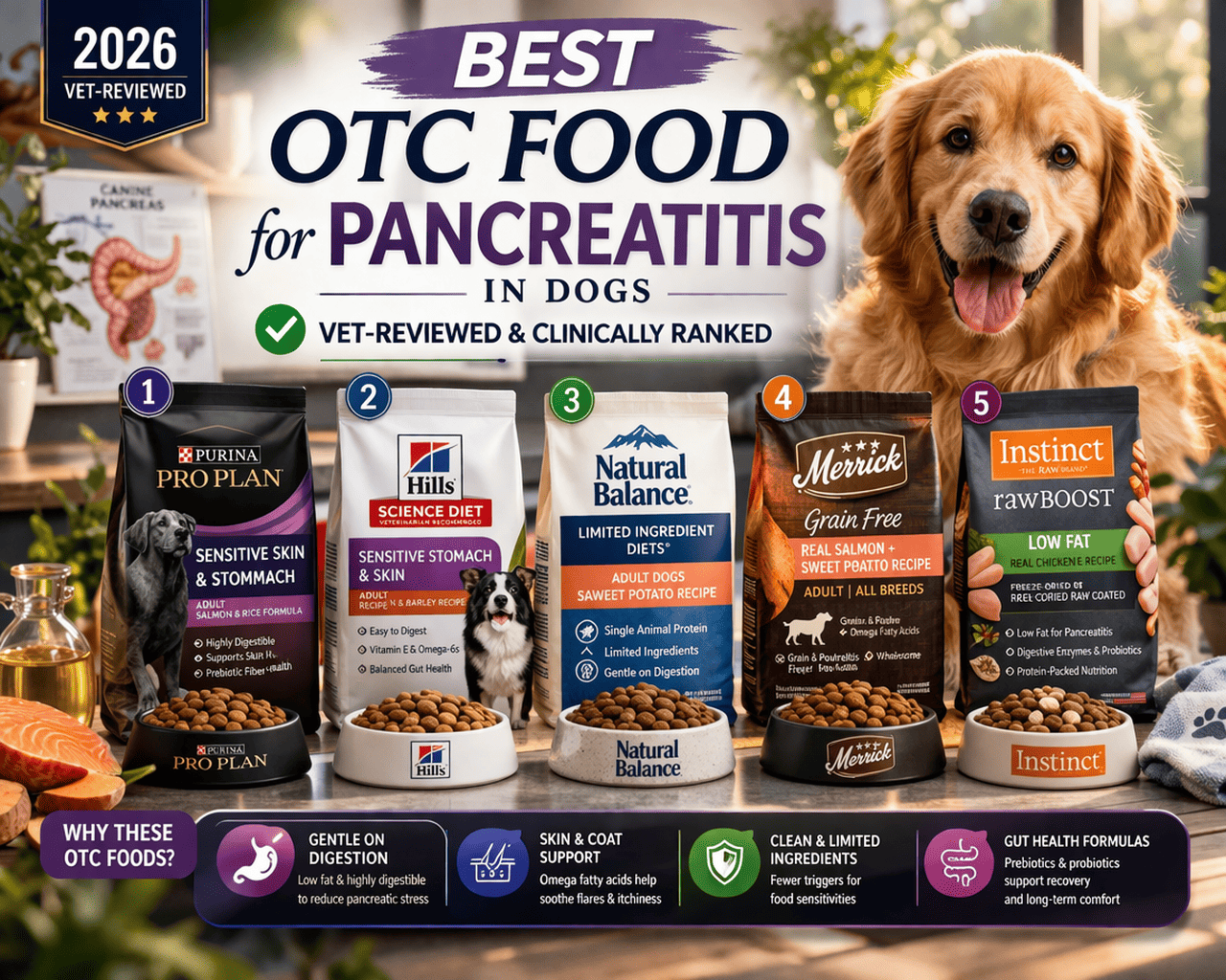 Best OTC Dog Food for Pancreatitis (2026):Vet Reviewed and Clinically Ranked